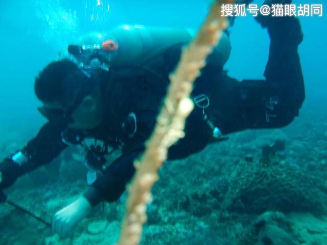 hahabet梦想